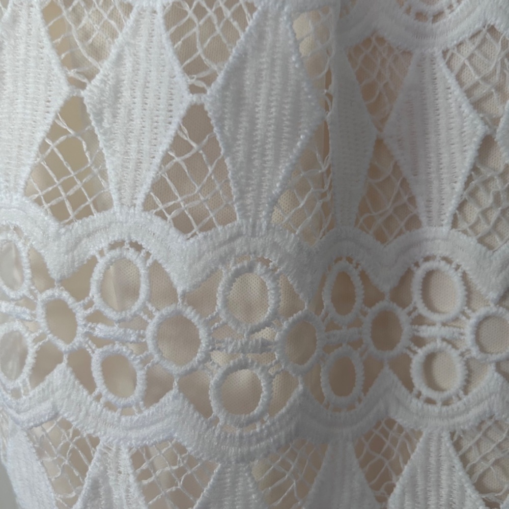 🌺Lulus Bodycon Formal Lace Dress with Fringe - Picture 6 of 16